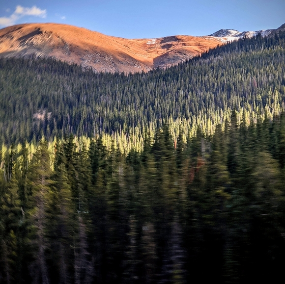 Hello, I am Sam - Picture 5 of 7